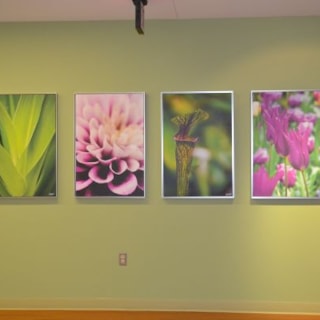 - Image360-Plymouth-CanvasArt&Signage-ProfessionalServices (2)